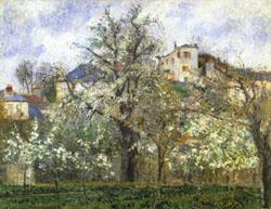 Camille Pissarro Vegetable Garden and Trees in Flower Spring